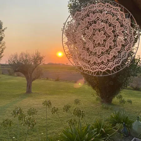 B&B Terre di Paestum-3